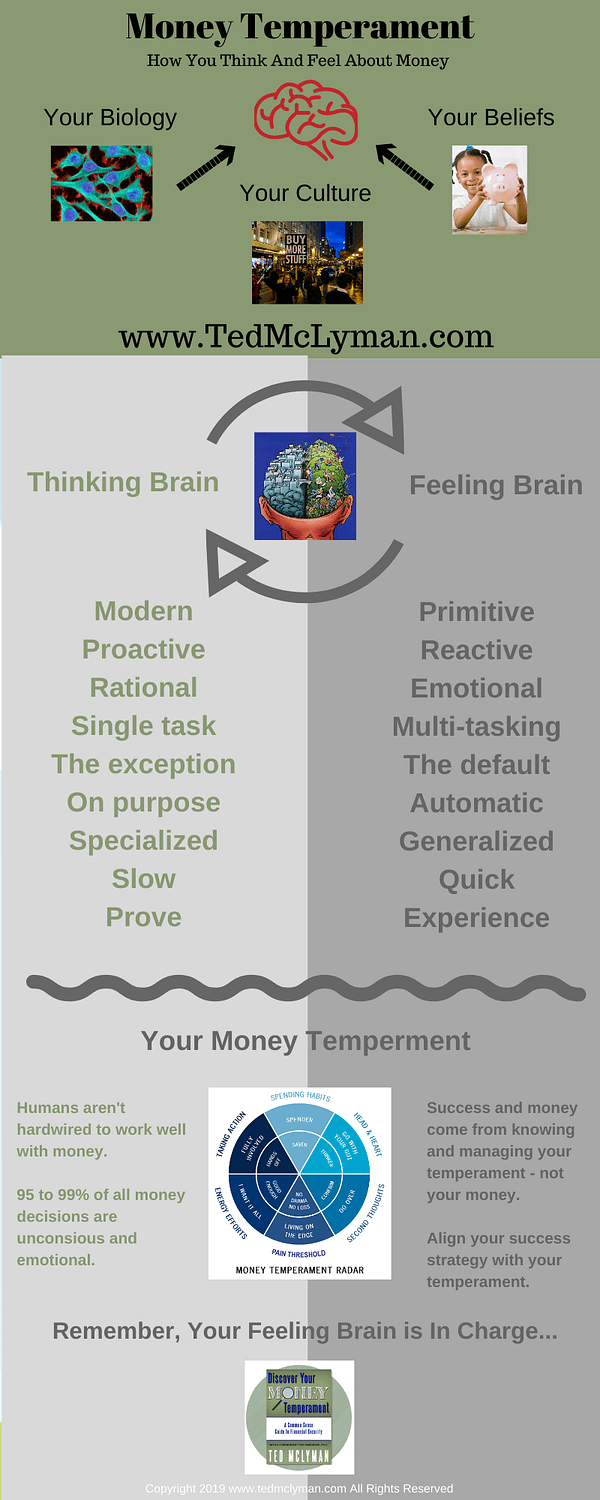 Money Temperament Infographic 3